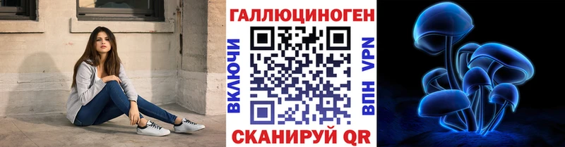 Псилоцибиновые грибы MAGIC MUSHROOMS  где купить наркоту  Павловск 